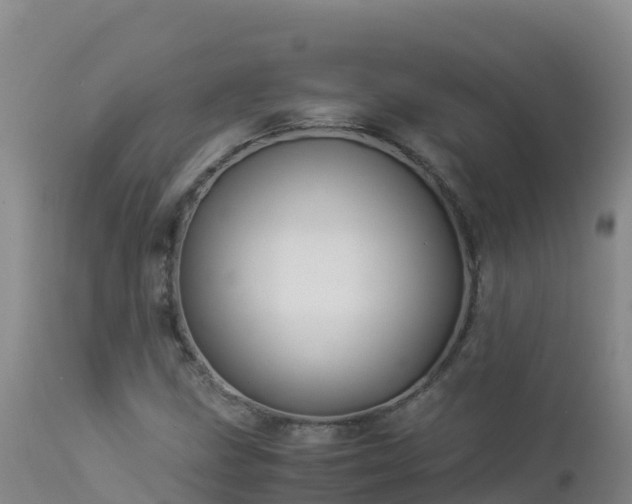 X0000112901211200908281716