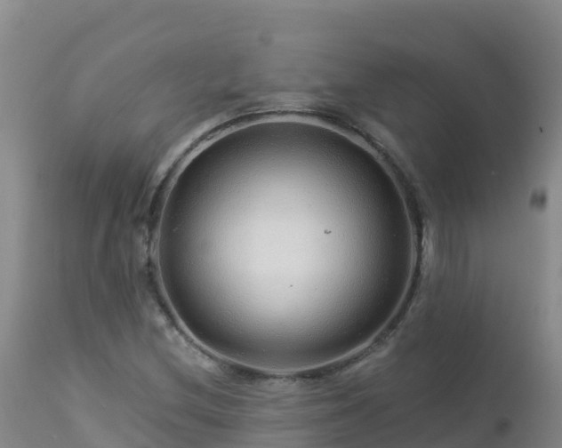 X0000112901212200908281716