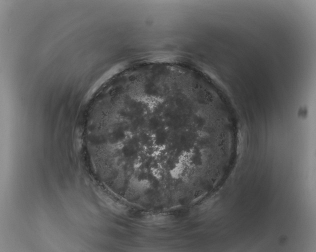 X0000112901213200908281716