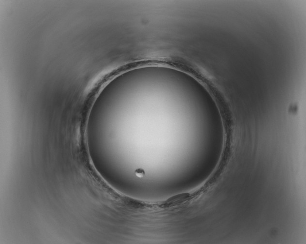 X0000112901214200908281716