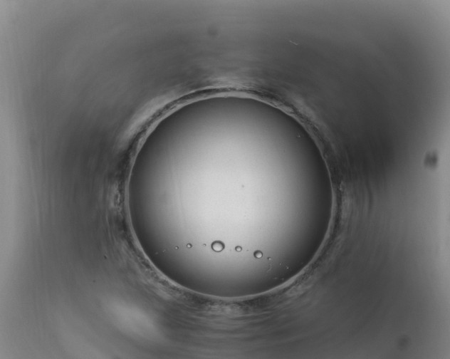 X0000112901215200908281716