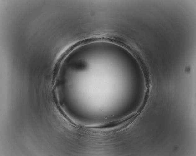 X0000112901216200908281716