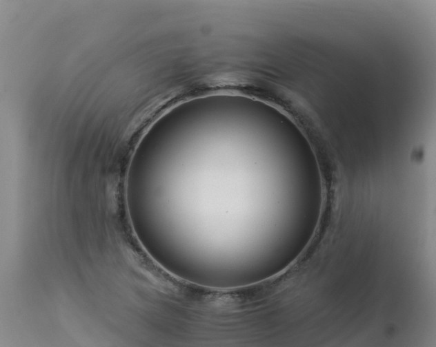 X0000112901217200908281716