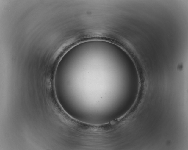 X0000112901218200908281716