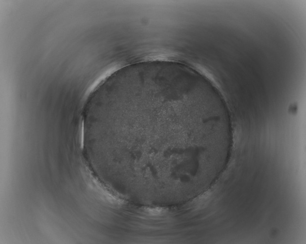 X0000112901219200908281716