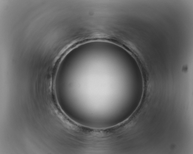 X0000112901220200908281716