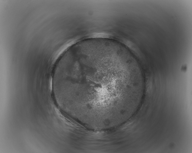 X0000112901221200908281716