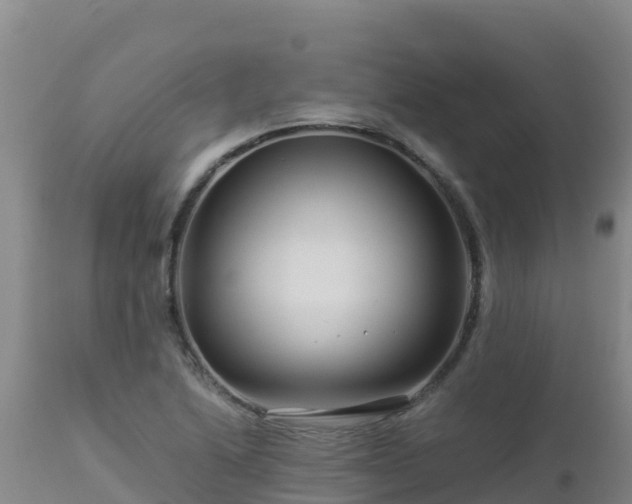 X0000112901222200908281716