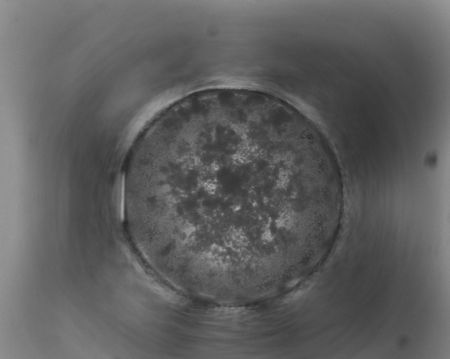 X0000112901223200908281716