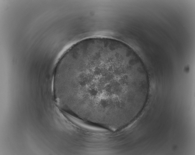 X0000112901224200908281716