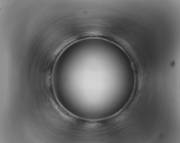 X0000112901225200908281716