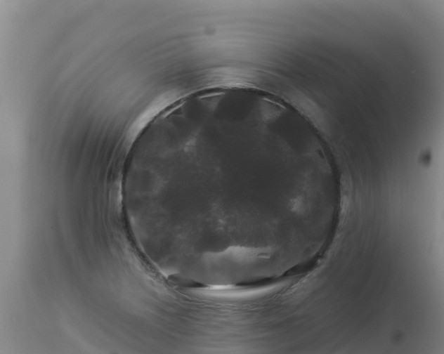 X0000112901226200908281716