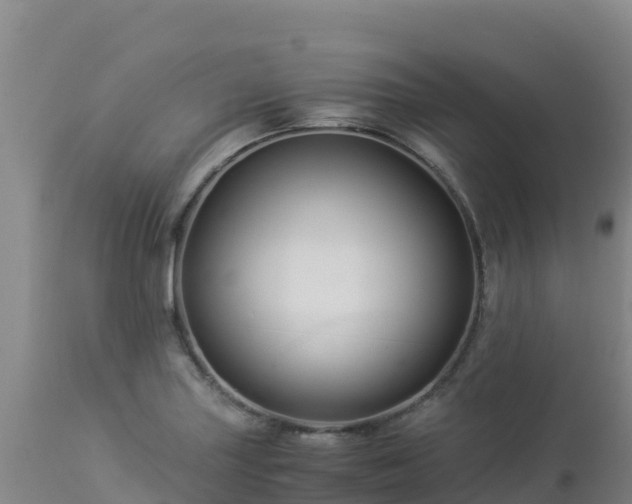 X0000112901227200908281716