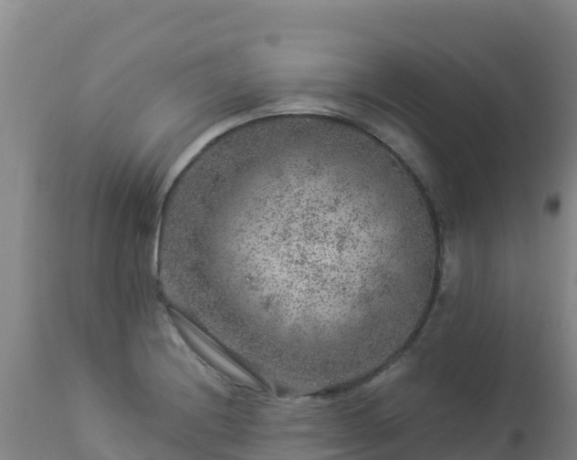 X0000112901228200908281716