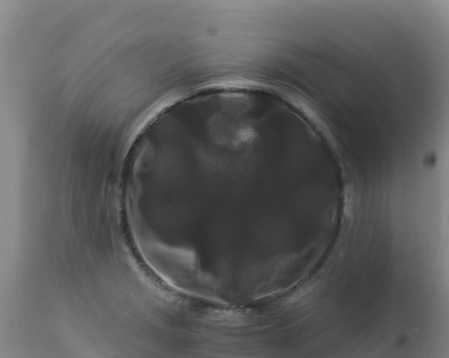 X0000112901229200908281716