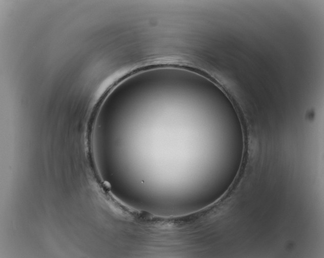 X0000112901230200908281717