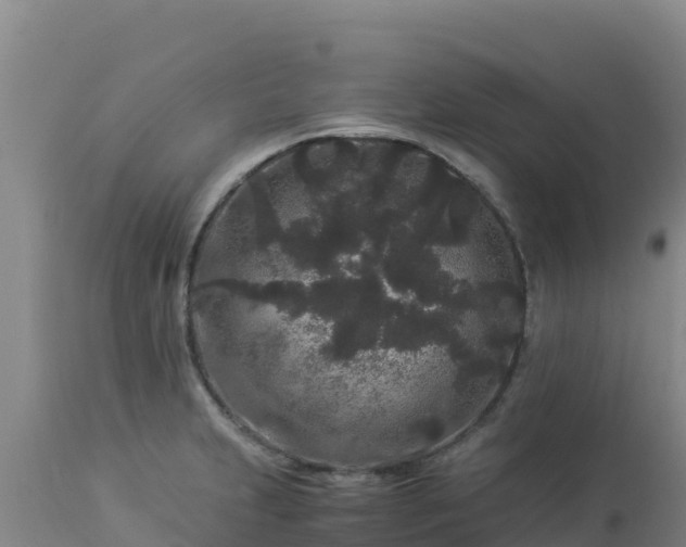 X0000112901231200908281717