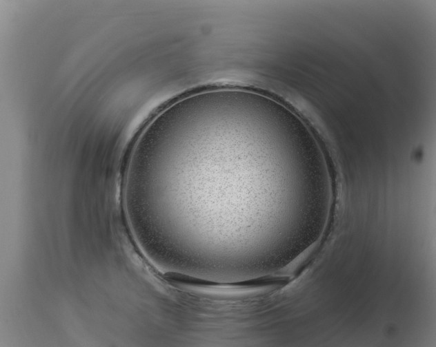 X0000112901232200908281717