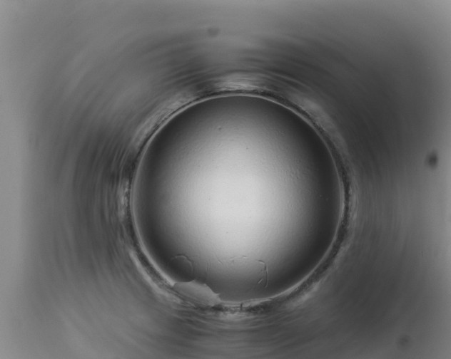 X0000112901233200908281717