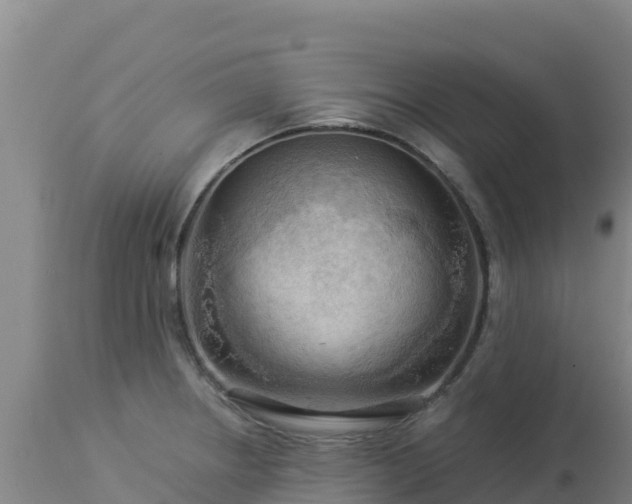 X0000112901234200908281717