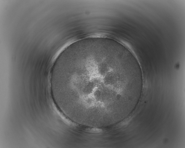 X0000112901235200908281717