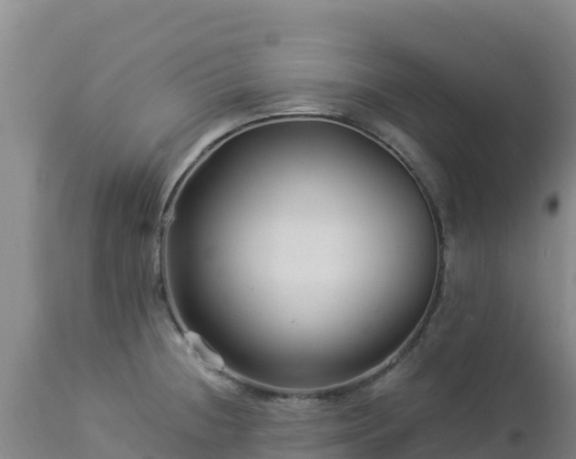 X0000112901236200908281717