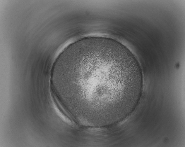 X0000112901237200908281717