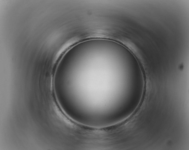 X0000112901238200908281717