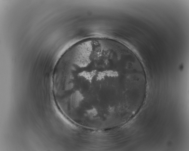 X0000112901239200908281717