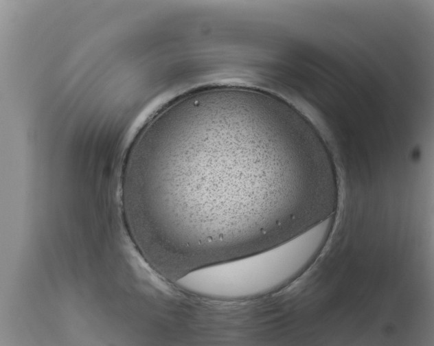 X0000112901240200908281717