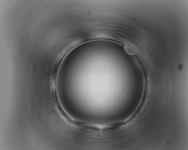 X0000112901241200908281717