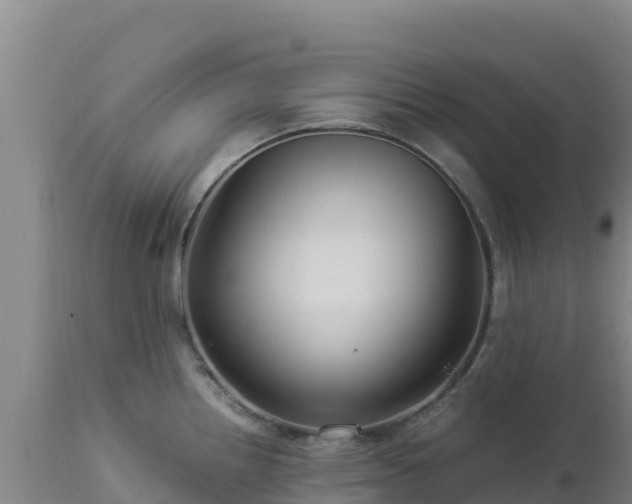 X0000112901242200908281717