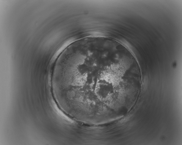 X0000112901243200908281717