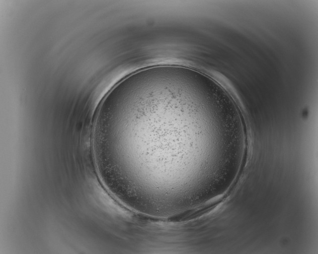 X0000112901244200908281717