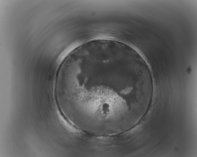 X0000112901245200908281717