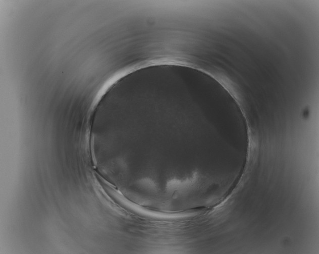 X0000112901246200908281717