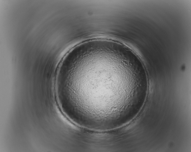 X0000112901247200908281717