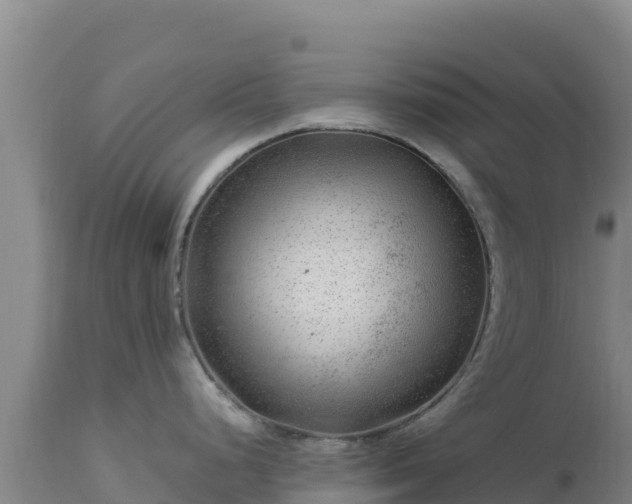 X0000112901248200908281717