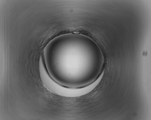 X0000112901249200908281716