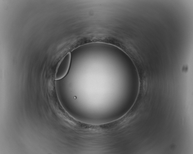 X0000112901250200908281716