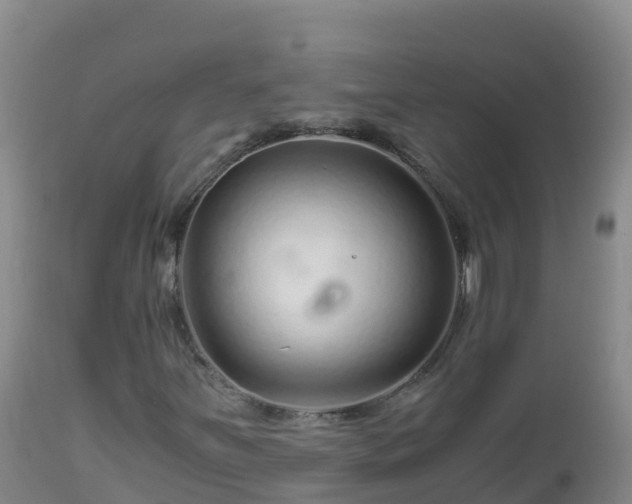 X0000112901251200908281716