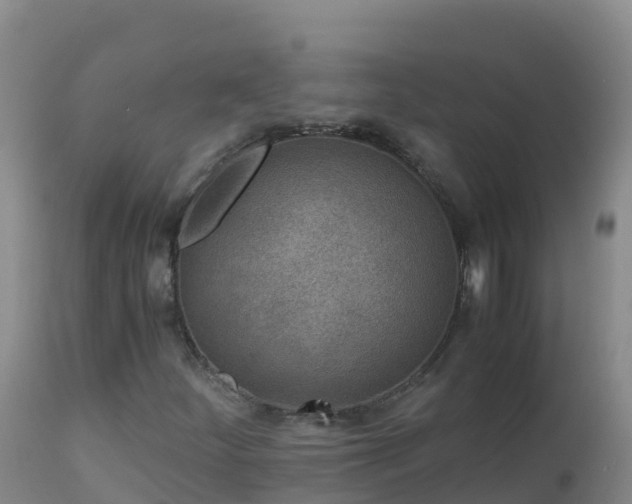 X0000112901252200908281716