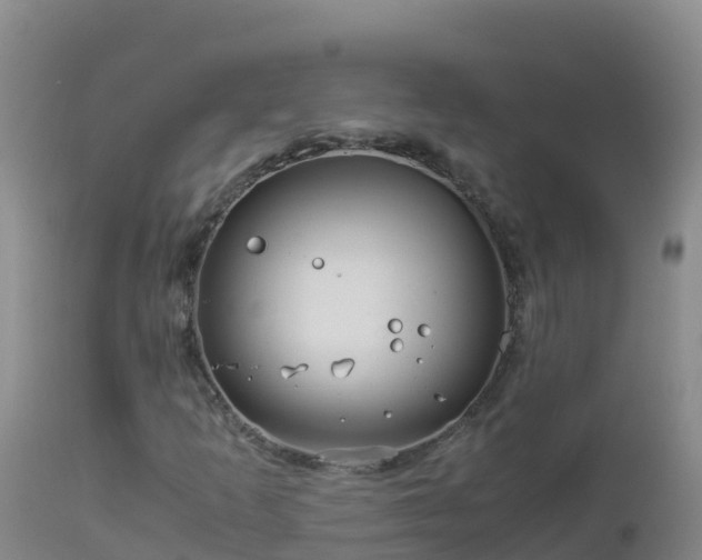 X0000112901253200908281716