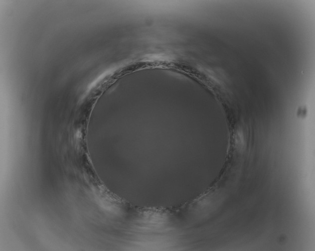 X0000112901254200908281716