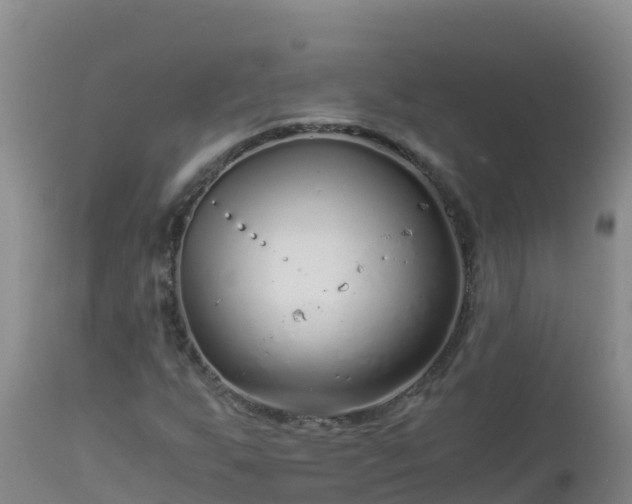 X0000112901255200908281716