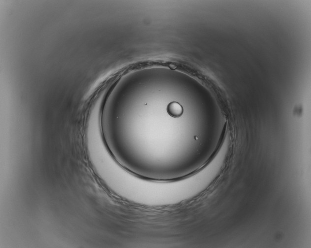 X0000112901256200908281716