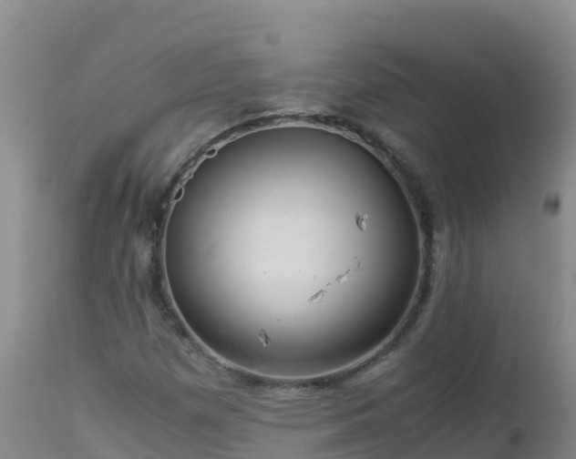 X0000112901257200908281716