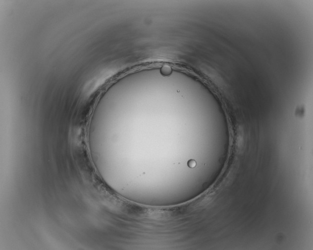 X0000112901258200908281716