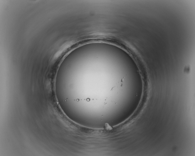 X0000112901259200908281716