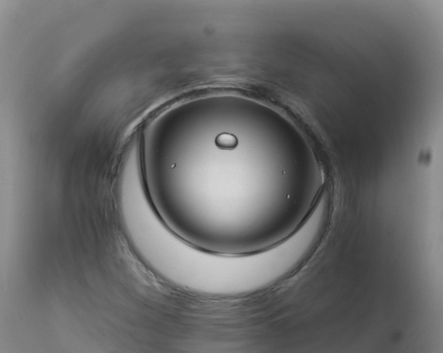 X0000112901260200908281716